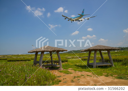 Korean Air, a shelter, sky gardens, Yeongjongdo, Incheon 31566202