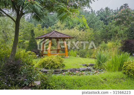 The park, Dream Park wildflower complex, Seo-gu, Incheon 31566223