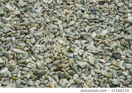 Pebble 31566259