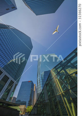 Egret, IFC Mall, Seoul International Finance Center, SKT Tower, Securities, Yeouido, Yeongdeungpo-gu, Seoul Egret, IFC Mall, Seoul International Finance Center, SKT Tower, Securities, Yeouido, Yeongdeungpo-gu, Seoul 31566270