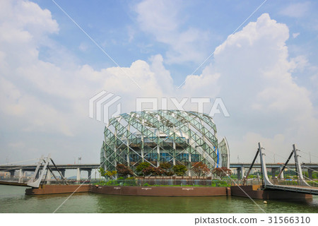 Seolleong島，半坡橋，瑞草區，漢江，首爾 31566310