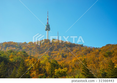 N Seoul Tower, Namsan, Jung-gu, Seoul 31566443