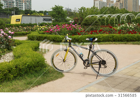 Bicycle, Ttukseom, Han River citizen park, Gwangjin-gu, Seoul 31566585