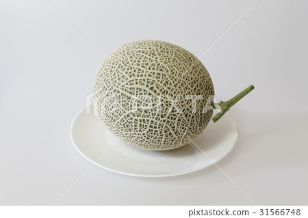 melon melon 31566748
