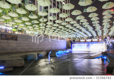 Umbrella, Cheonggyecheon, Seoul 31566783