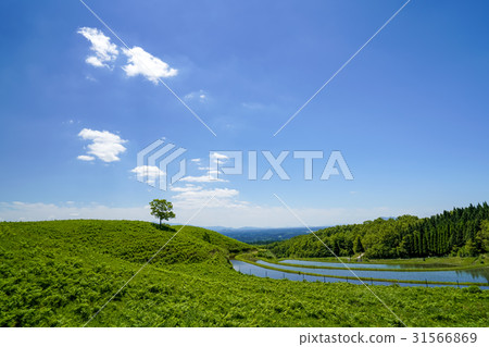 扇米飯露台 扇米飯露台 31566869