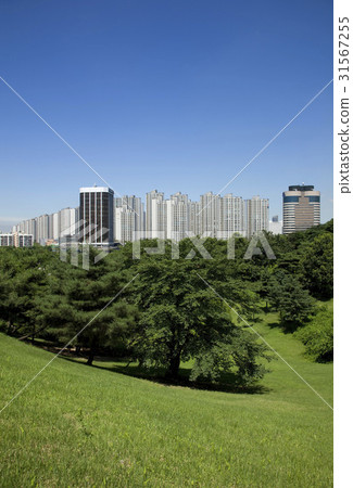 Olympic Park, Songpa-gu, Seoul 31567255