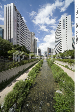 Cheonggyecheon, Seoul 31567289