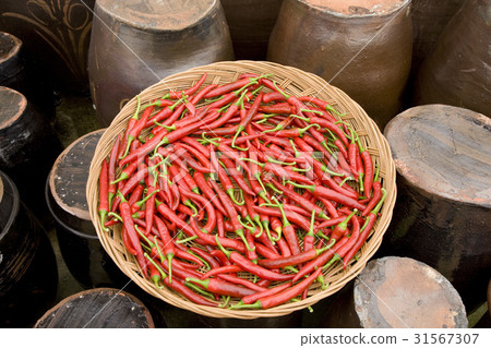 辣椒，罐子 31567307