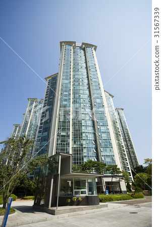 首爾江南區 31567339