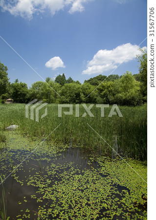 Children's Grand Park, Gwangjin-gu, Seoul 31567706