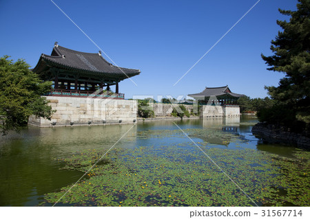 Anapji, Gyeongju, Gyeongbuk 31567714