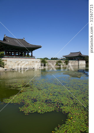 Anapji, Gyeongju, Gyeongbuk 31567715