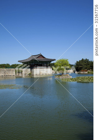 Anapji, Gyeongju, Gyeongbuk 31567716