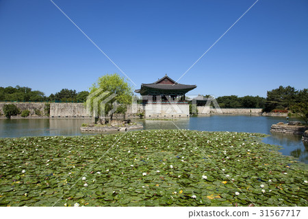 Anapji, Gyeongju, Gyeongbuk 31567717