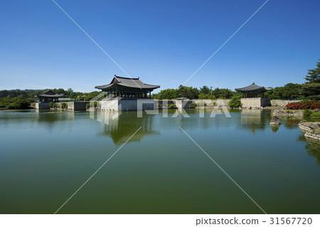 Anapji, Gyeongju, Gyeongbuk 31567720