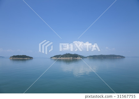 全南縣石南縣 31567755