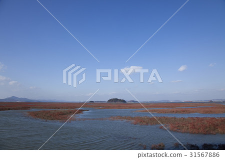 仁川永宗道 31567886