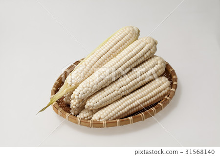 corn corn 31568140