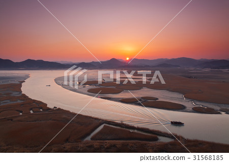 Suncheon Bay, Suncheon City, Jeonnam 31568185