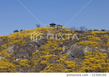 Wanari, Ebongsan, Seongdong-gu, Seoul 31568188