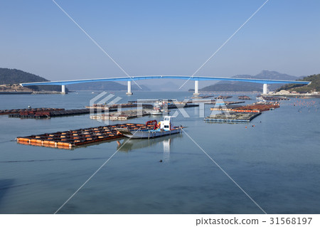 Abalone Farm, Jodo Grand Bridge, Issa Island, Daedong Sea National Park, Jindo County, Jeonnam 31568197