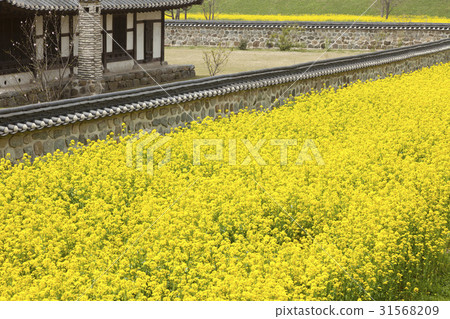 Rape, Seosan Haemi-eupseong (Historic Site No. 116), Seosan, Chungnam Rape, Seosan Haemi-eupseong (Historic Site No. 116), Seosan, Chungnam 31568209