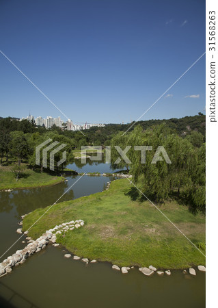 Seoul Forest, Seongdong-gu, Seoul 31568263