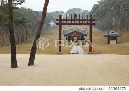 首爾,Namryangju,京畿道 首爾,Namryangju,京畿道 31568275
