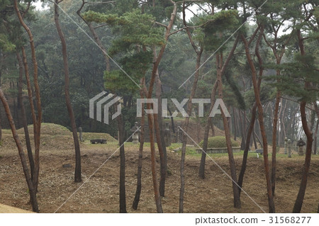 Sillaung, Namyangju City, Gyeonggi-do 31568277