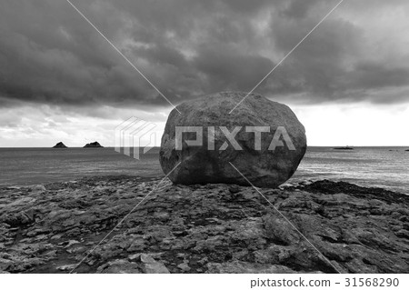 Bashamdo, Daedouhae Marine National Park, Jindo-gun, Jeonnam 31568290