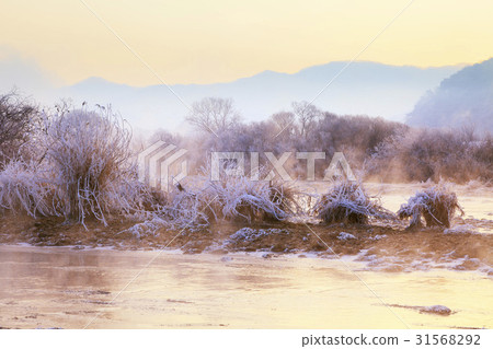 Soyang River, Chuncheon City, Gangwon Province 31568292