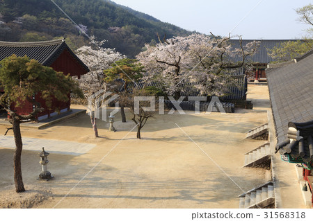 Hwaeomsa Temple, Gurye-gun, Jeonnam Hwaeomsa Temple, Gurye-gun, Jeonnam 31568318
