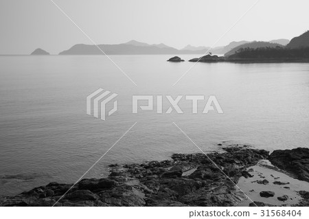 Sha Island, Daedong Sea National Park, Jindo County, Jeonnam Sha Island, Daedong Sea National Park, Jindo County, Jeonnam 31568404