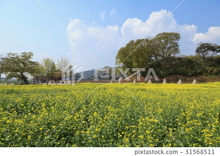 Rape, Seosan Haemi-eupseong (Historic Site No. 116), Seosan, Chungnam 31568511