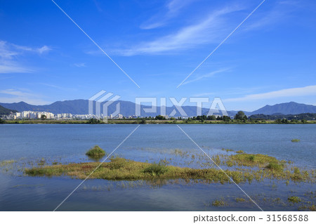 North River, Chuncheon, Gangwon 31568588