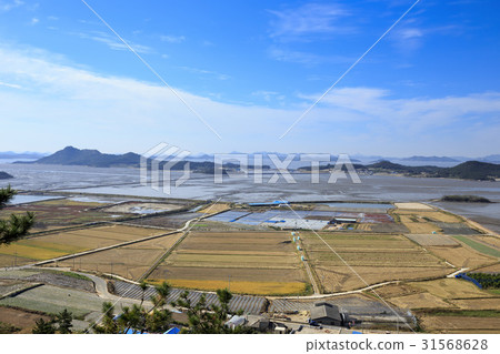 Chungpo-do viewing from Amang-do, Sinan-gun, Jeonnam Chungpo-do viewing from Amang-do, Sinan-gun, Jeonnam 31568628