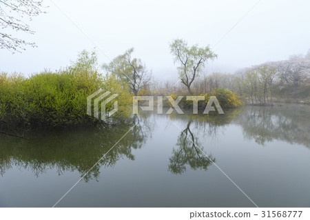 Yongji, Seosan, Chungnam 31568777