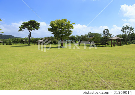 避難所，順天，全南 31569014