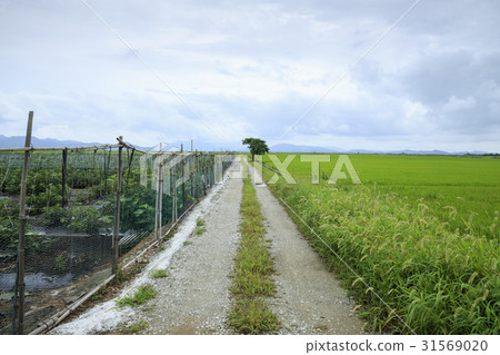 全南縣靈巖郡 31569020