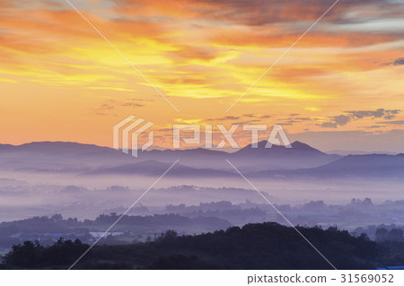Hampyeong, Hampyeong, Jeonnam 31569052