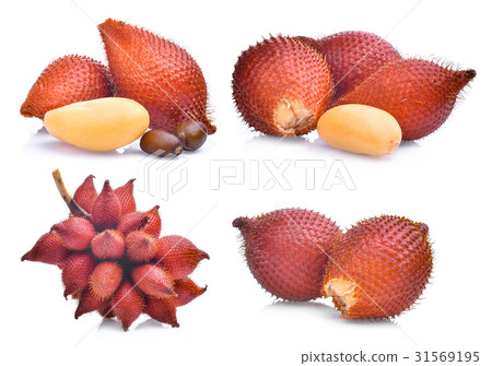 set of salak fruit,salacca zalacca isolated  31569195