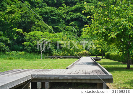 Scenery with tree path Scenery with tree path 31569218