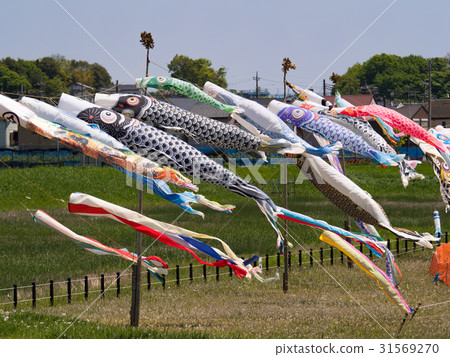 鯉魚旗 鯉魚旗 31569270