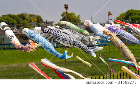 鯉魚旗 鯉魚旗 31569273