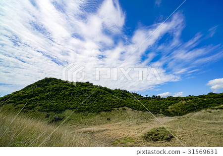 Early summer rain pond Early summer rain pond 31569631