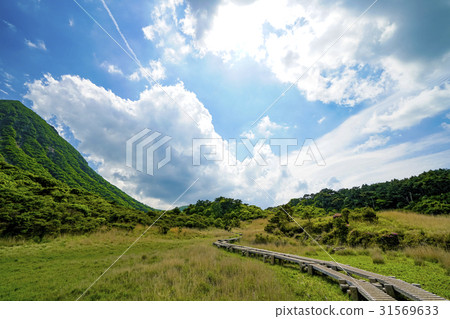 Early summer rain pond Early summer rain pond 31569633