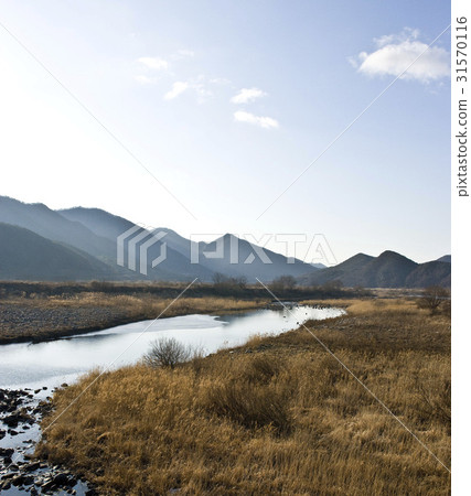 忠南市保寧市 31570116