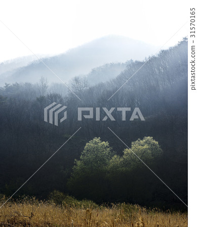 忠南縣中央縣Chilgak山 忠南縣中央縣Chilgak山 31570165