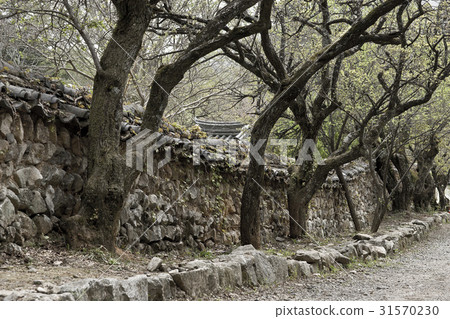 Sunam寺，順天，全南 31570230